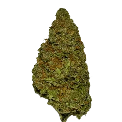 Super Lemon Haze