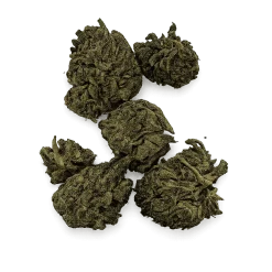 Frosted Truffles