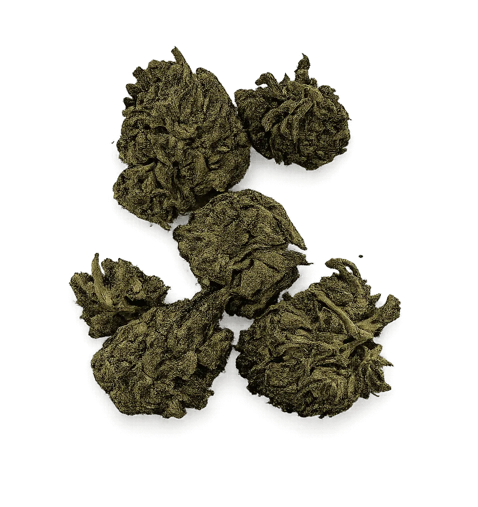 Frosted-Truffles-e1775978824886