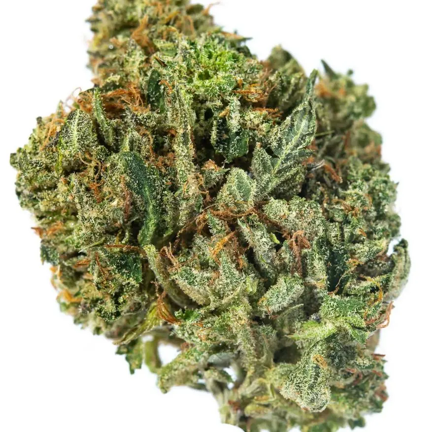 GM-CRITICAL-KUSH-2