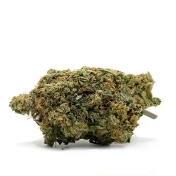 CRITICAL KUSH