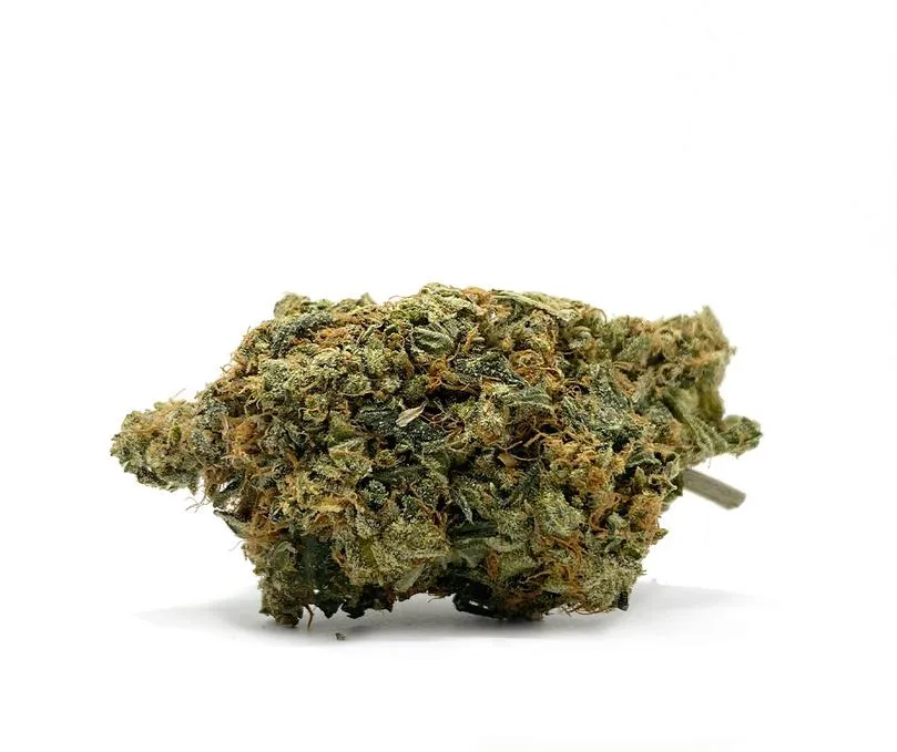 GM-CRITICAL-KUSH-3