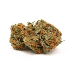 Grease Monkey