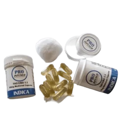 Pro Infused 500mg Capsules