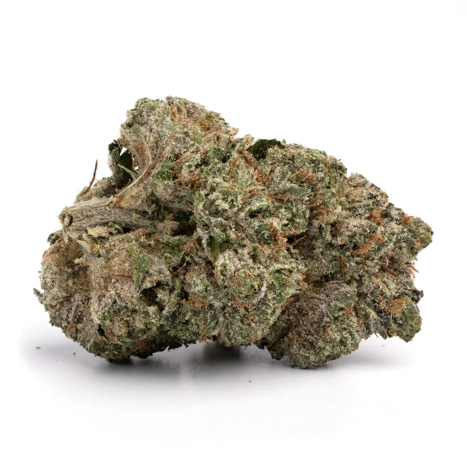 GM-white-rhino-2