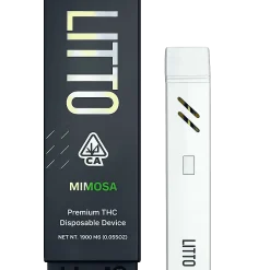 Mimosa (Hybrid) – Litto