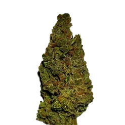 Amnesia Haze