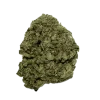 Bruce Banner