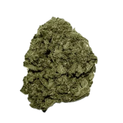 Bruce Banner