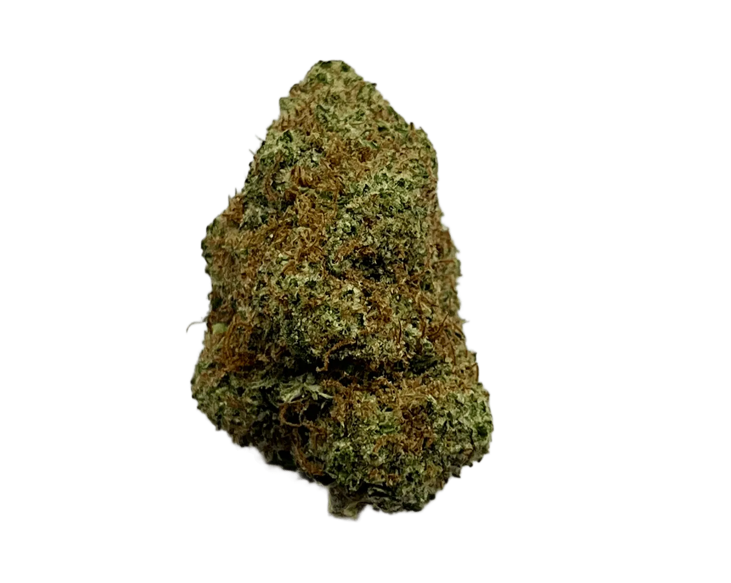 flower-orange