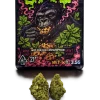 GMO