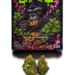 GMO