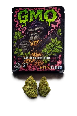 GMO